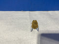 Newport Beach Junior Badge Fireman Calif.