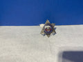 Security Officer Star Badge