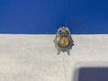 Private Desert Detective Agency Badge 11