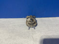 Security Officer Badge
